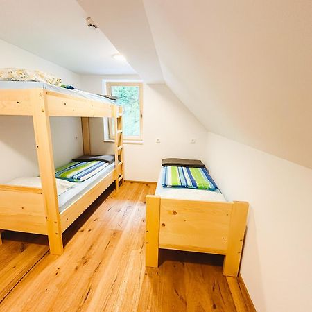 Koca Ob Izviru Soce Villa Trenta Bagian luar foto